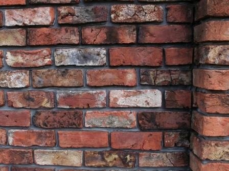 bricks of egypt crack download